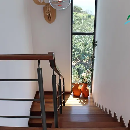 Villa Ourmadeira - The Designhouse, Contemporary